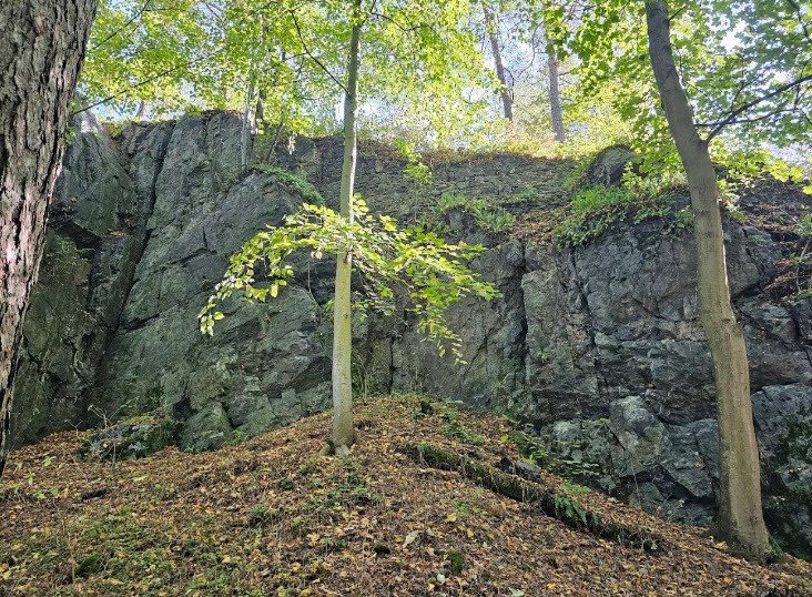 Ruins of Castle Skála, Czech Republic (Czechia)